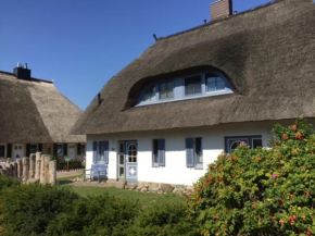 An der Sonne, Born Am Darß